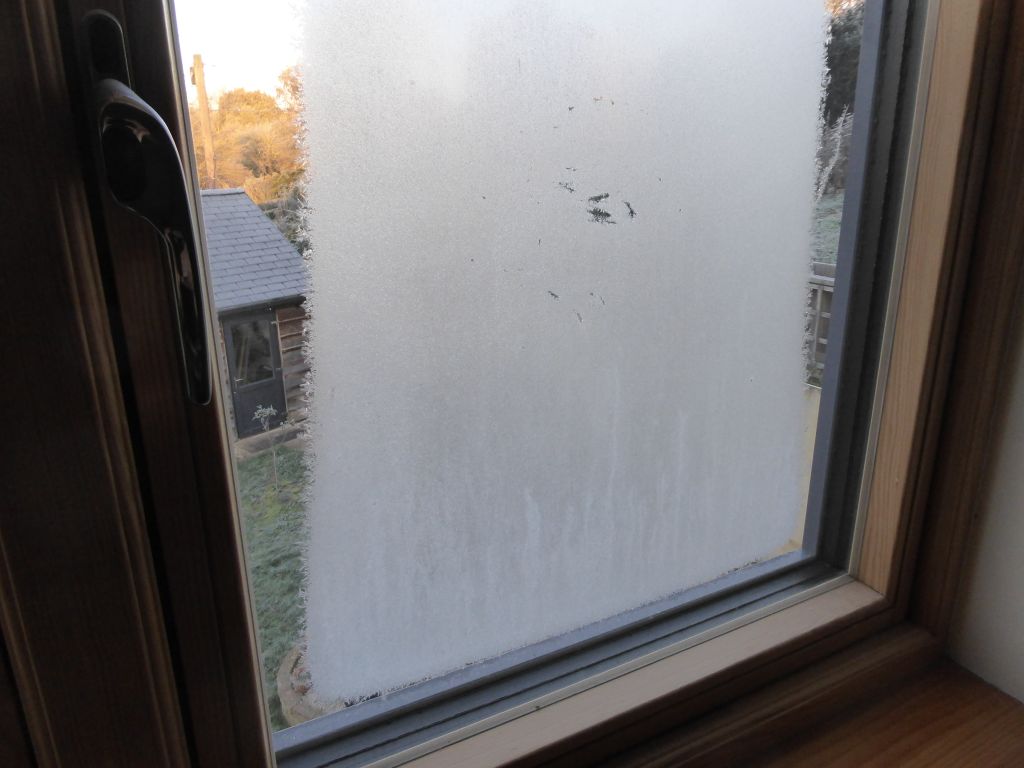 Ice on window.jpg